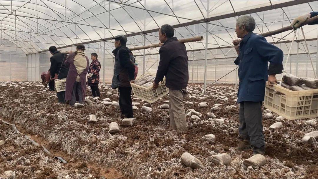 雙十一(yī)縣銷售排名_金堂縣網絡推廣排名_金堂 撤縣設區